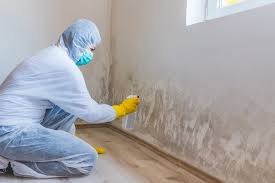 Best Attic Mold Removal in Piedmont, SC